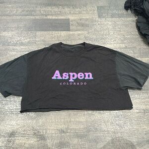 Brandy Melville aspen cropped tee